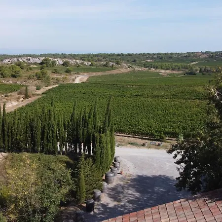 לינה וארוחת בוקר Chateau Catherine De Montgolfier - B&B Et Gites - Piscine - Domaine Viticole Bio Avec Degustation 3*