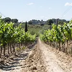 Chateau Catherine De Montgolfier - Et - Piscine - Domaine Viticole Bio Avec Degustation 3* Ναρμπόν