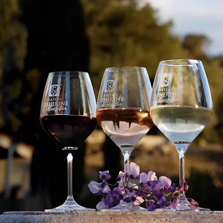 Chateau Catherine De Montgolfier - Et - Piscine - Domaine Viticole Bio Avec Degustation 3*