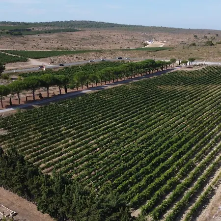 Domaine De La Ramade * Narbona
