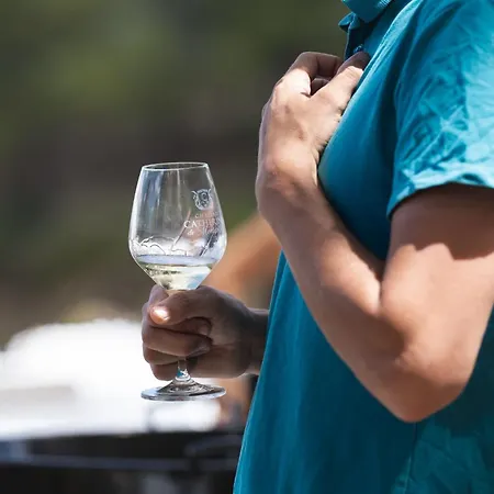 Domaine De La Ramade
