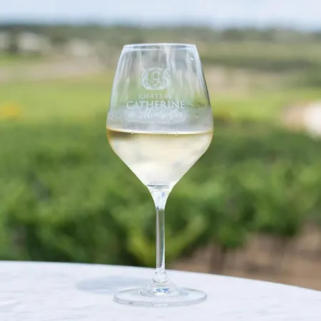 Chateau Catherine De Montgolfier - B&B Et Gites - Piscine - Domaine Viticole Bio Avec Degustation Нарбонна
