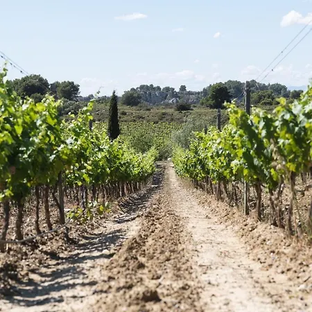 Chateau Catherine De Montgolfier - Et - Piscine - Domaine Viticole Bio Avec Degustation 3* Narbonne
