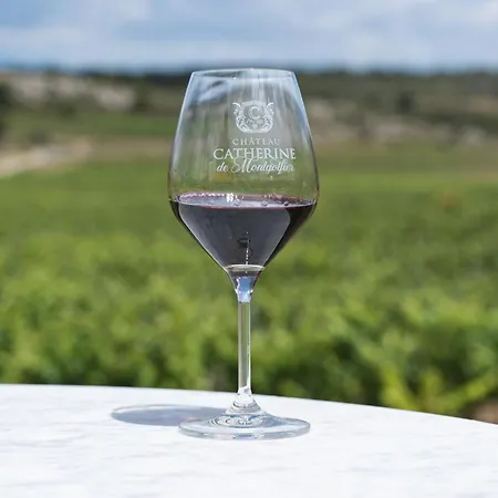 Domaine De La Ramade * Narbona