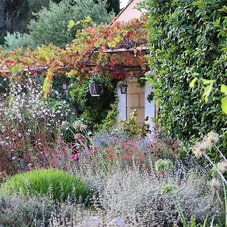 Bed & Breakfast Chateau Catherine De Montgolfier - Et - Piscine - Domaine Viticole Bio Avec Degustation 3*