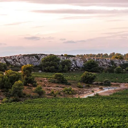 Bed & Breakfast Chateau Catherine De Montgolfier - Et - Piscine - Domaine Viticole Bio Avec Degustation Narbonne