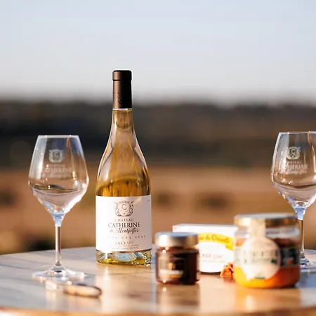 Chateau Catherine De Montgolfier - Et - Piscine - Domaine Viticole Bio Avec Degustation 3* Narbonne