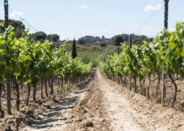 Chateau Catherine De Montgolfier - Et - Piscine - Domaine Viticole Bio Avec Degustation 3* Narbonne