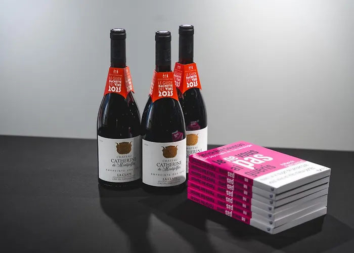 Oda ve Kahvaltı Chateau Catherine De Montgolfier - Et - Piscine - Domaine Viticole Bio Avec Degustation 3*