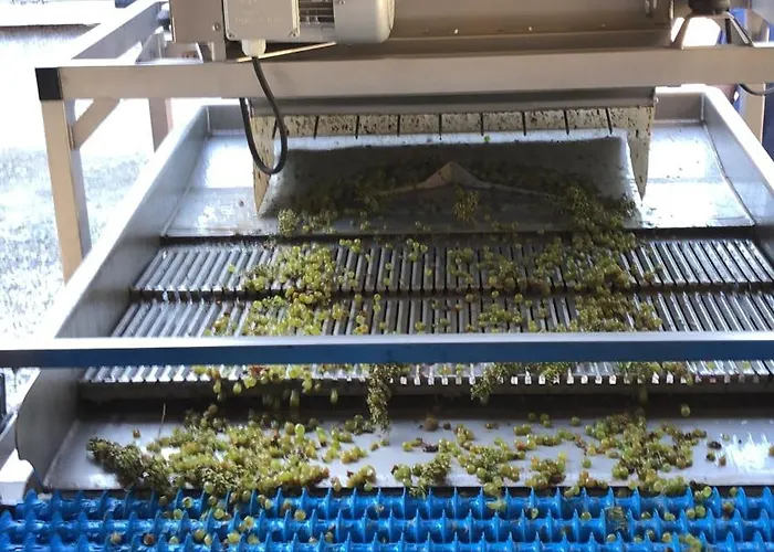 Oda ve Kahvaltı Chateau Catherine De Montgolfier - Et - Piscine - Domaine Viticole Bio Avec Degustation Narbonne