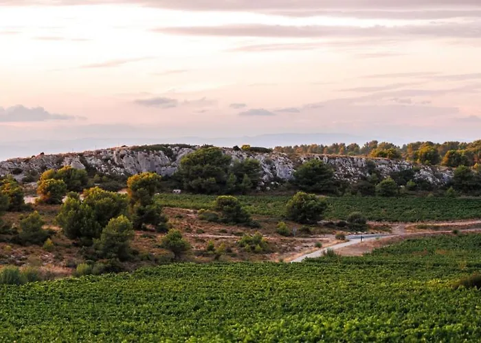 Oda ve Kahvaltı Chateau Catherine De Montgolfier - Et - Piscine - Domaine Viticole Bio Avec Degustation Narbonne