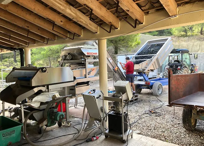 Panzió Chateau Catherine De Montgolfier - Et - Piscine - Domaine Viticole Bio Avec Degustation 3*